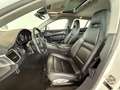 Porsche Panamera 3,0 Diesel Aut.*Schiebedach*Bi-Xenon*Verkehrsze... Alb - thumbnail 13
