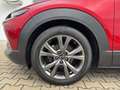 Mazda CX-30 SKYACTIV-X 2.0 6GS SELECTION A18-B DES-P PRE-P Rot - thumbnail 15