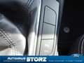 Ford Focus Titanium NAVI|WINTER PK|PDC VO & HI|TECHNO PK 1&2 Blau - thumbnail 19