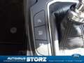 Ford Focus Titanium NAVI|WINTER PK|PDC VO & HI|TECHNO PK 1&2 Blau - thumbnail 18