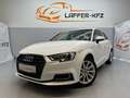 Audi A3 design 1,0 TSI KLIMAAUTO LEDER SITZHZG TEMP NAVI Weiß - thumbnail 4