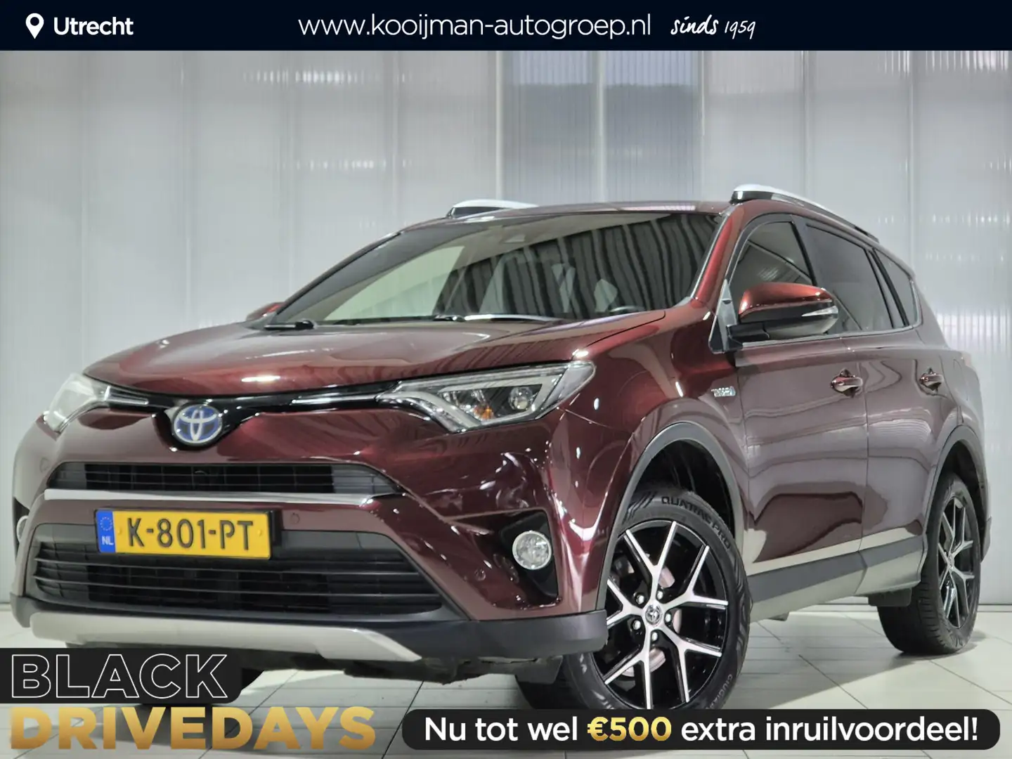 Toyota RAV 4 2.5 Hybrid Style | Dealer onderhouden | Apple carp Rot - 1