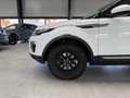 Land Rover Range Rover Evoque AUTOMATIK+KLIMA+ALLWETTER+TÜV Blanc - thumbnail 19
