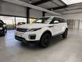 Land Rover Range Rover Evoque AUTOMATIK+KLIMA+ALLWETTER+TÜV Blanc - thumbnail 7