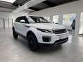 Land Rover Range Rover Evoque AUTOMATIK+KLIMA+ALLWETTER+TÜV Blanco - thumbnail 20