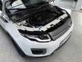 Land Rover Range Rover Evoque AUTOMATIK+KLIMA+ALLWETTER+TÜV Blanco - thumbnail 12