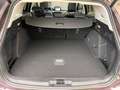 Ford Focus Wagon 1.0 EcoBoost 125pk Vignale BOMVOL! Panorama, Bruin - thumbnail 32