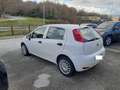 Fiat Punto 1.3 mjt 95 CV  4 posti N1 E6 Blanc - thumbnail 2