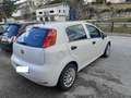 Fiat Punto 1.3 mjt 95 CV  4 posti N1 E6 Fehér - thumbnail 5