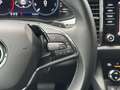 Skoda Kodiaq 2,0 TDI Ambition DSG / AHK Grau - thumbnail 28