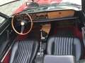 Fiat 124 Spider Rosso - thumbnail 7