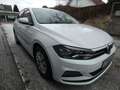 Volkswagen Polo 1.0 Comfortline Klima eFe eSp Klima Fenster el. Weiß - thumbnail 4
