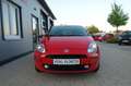 Fiat Punto Young Ahk/Navi/Klima/Servo/Isofix Rot - thumbnail 2