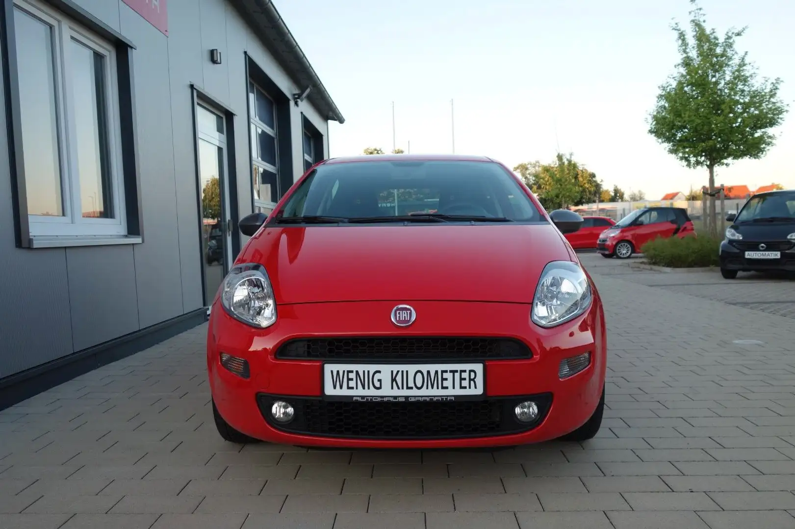 Fiat Punto Young Ahk/Navi/Klima/Servo/Isofix Rot - 2