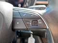 Audi Q3 ASSIST+LED+NAVI+Virtual+DynLicht+LM+PDC+AUT Grau - thumbnail 19