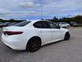 Alfa Romeo Giulia Giulia 2.2 JTDm Super (JAV ECO) Weiß - thumbnail 12