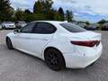Alfa Romeo Giulia Giulia 2.2 JTDm Super (JAV ECO) Weiß - thumbnail 8