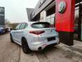 Alfa Romeo Stelvio Veloce 2,0 16V 280 AT8 Q4 Grau - thumbnail 3