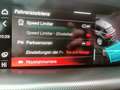 Alfa Romeo Stelvio Veloce 2,0 16V 280 AT8 Q4 Grau - thumbnail 21