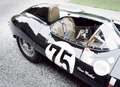 Jaguar D-Type 1955 Specification Verde - thumbnail 4