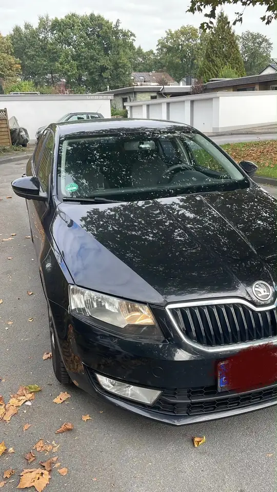 Skoda Octavia Octavia 1.6 TDI Green tecElegance — photo 1 of 15