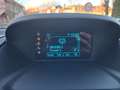 Ford B-Max 1,0 EcoBoost Titanium ALU+SITZH+Orig5900km Gris - thumbnail 13