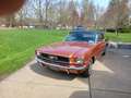 Ford Mustang Bronce - thumbnail 2