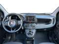 Fiat Panda 1.0 70cv Hybrid Icon Albastru - thumbnail 9