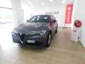 Alfa Romeo Stelvio 2.2 T.diesel 190 CV AT8 Q4 Bus. Grigio - thumbnail 3