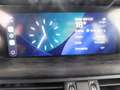 Alfa Romeo Stelvio 2.2 T.diesel 190 CV AT8 Q4 Bus. Grigio - thumbnail 10