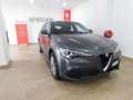 Alfa Romeo Stelvio 2.2 T.diesel 190 CV AT8 Q4 Bus. Grigio - thumbnail 1
