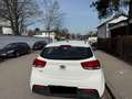 Kia Rio Titan Limousine - thumbnail 4