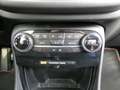 Ford Puma 1.0 EcoBoost Hybrid ST-LINE X Navi Sitzheizung AHK Beige - thumbnail 12