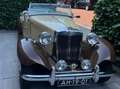 MG TD TD undefined Beige - thumbnail 2