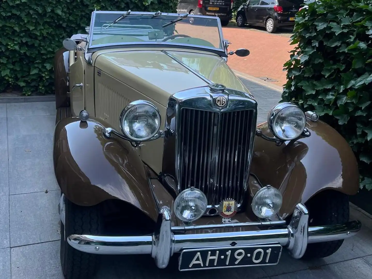 MG TD TD undefined Beige - 2