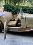 MG TD TD undefined Beige - thumbnail 4