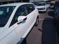 SEAT Ateca 2.0TDI CR S&S Reference 116 Blanco - thumbnail 17