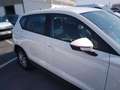 SEAT Ateca 2.0TDI CR S&S Reference 116 Blanco - thumbnail 18