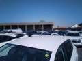 SEAT Ateca 2.0TDI CR S&S Reference 116 Blanco - thumbnail 14