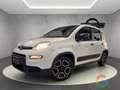 Fiat Panda Hybrid 1.0 70cv - PROMO/IVA ESP. - thumbnail 2