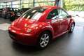 Volkswagen New Beetle 1.4 Freestyle Червоний - thumbnail 6