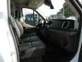 Ford Transit 2.0 TDCI 170PK, L4H3, Automaat, Airco, Trekhaak 3. Weiß - thumbnail 14