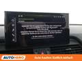 Audi Q5 40 TDI Mild-Hybrid quattro S line Grau - thumbnail 24
