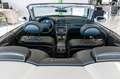 Mercedes-Benz CLK 320 Cabrio Avantgarde AUTOMATIK Plateado - thumbnail 17