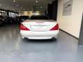 Mercedes-Benz SL 500 cat Argent - thumbnail 17