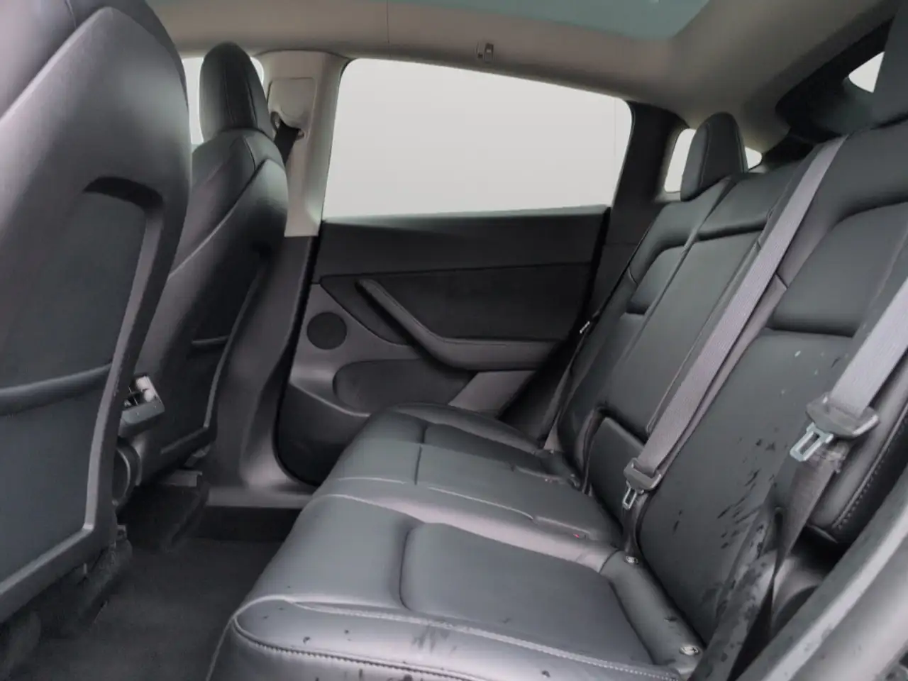 Tesla Model Y снимка Tesla Model Y