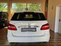 Mercedes-Benz B 180 B 180 CDI Autom Edition Sports Tourer Navi LED 17" Blanco - thumbnail 12
