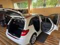 Mercedes-Benz B 180 B 180 CDI Autom Edition Sports Tourer Navi LED 17" Blanco - thumbnail 5