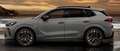 CUPRA Terramar VZ 2.0 TSI 265PS DSG 4Drive Pano Sennheiser Hig... Grau - thumbnail 2