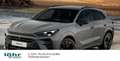 CUPRA Terramar VZ 2.0 TSI 265PS DSG 4Drive Pano Sennheiser Hig... Grau - thumbnail 1